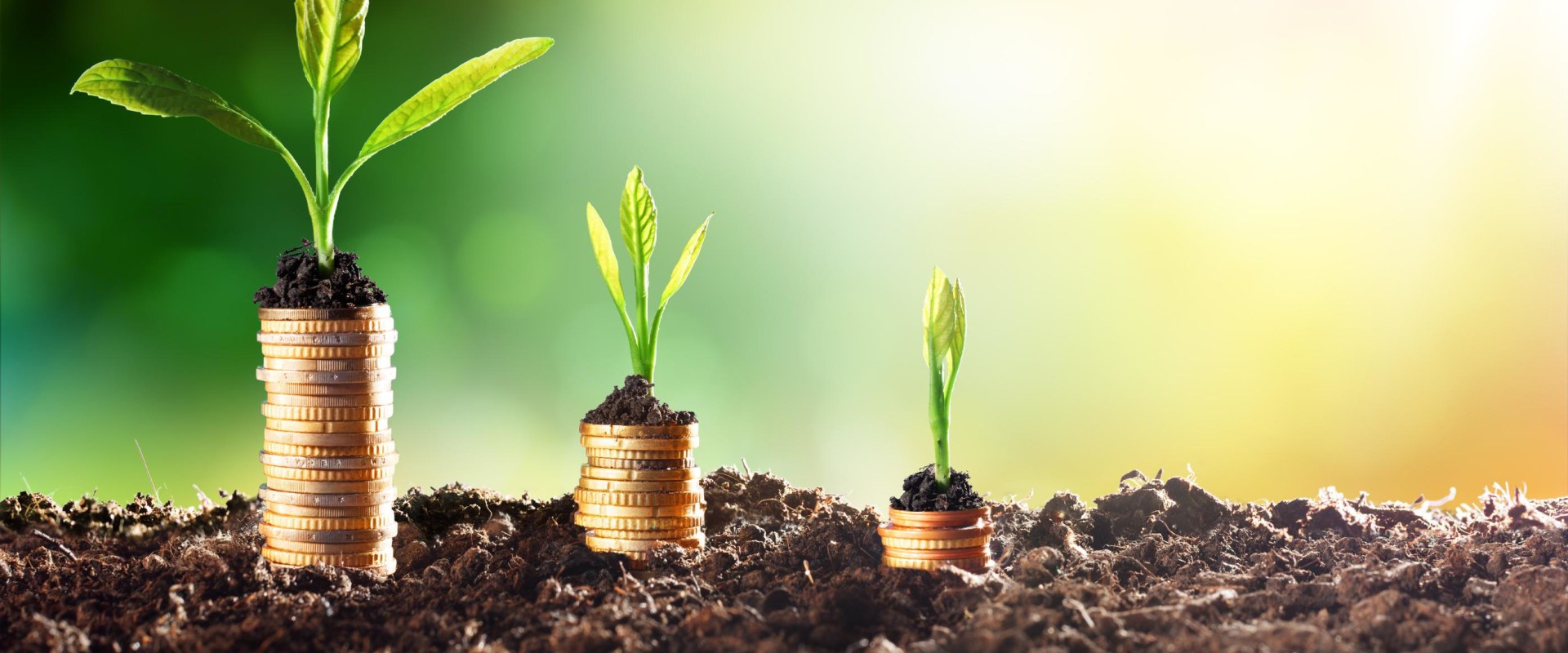 The Benefits of Sustainable Investment for Investors