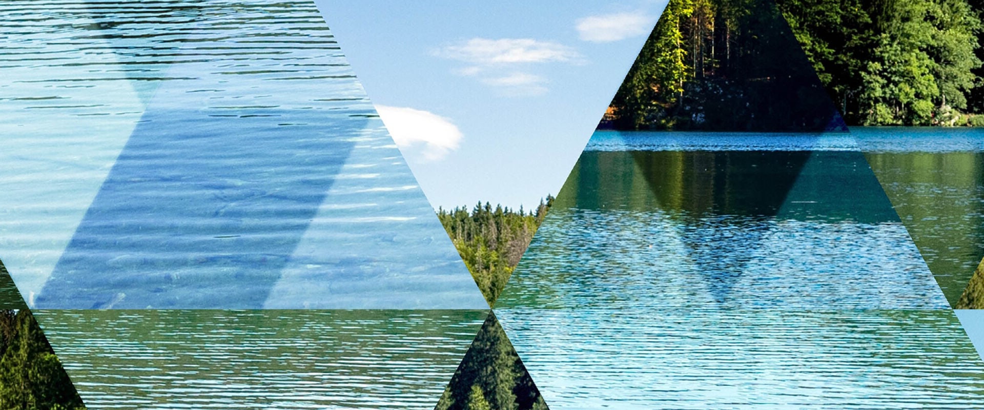 What Types of Investments Qualify as Sustainable Investments?