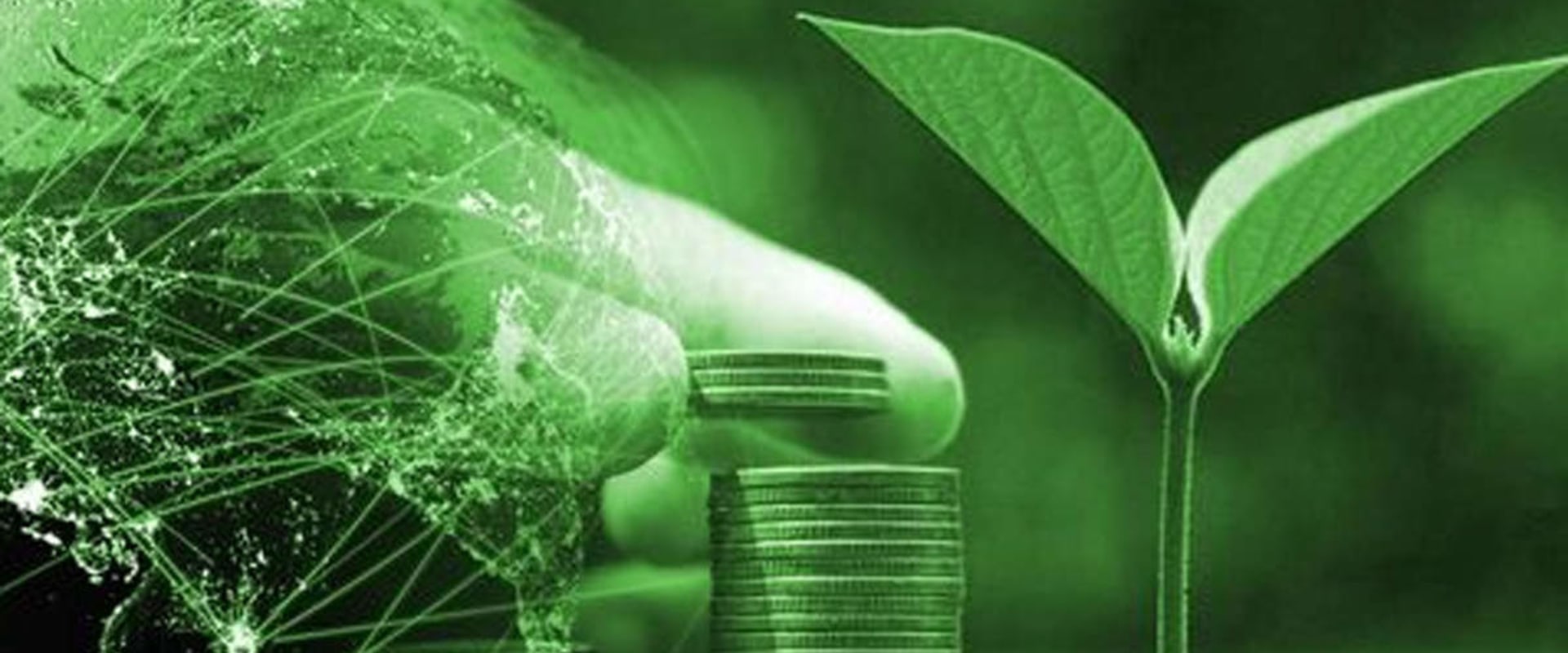The Benefits of Sustainable Investing for the Environment