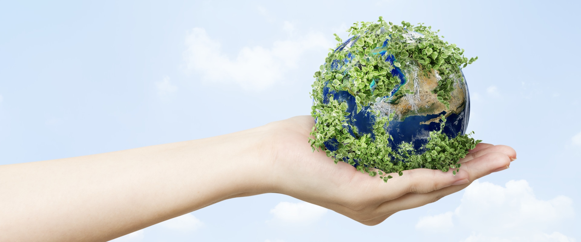 Making the Right Choice: A Guide to Sustainable Investing Strategies