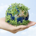 Why Sustainable Investment is Essential for the Future