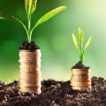 The Benefits of Sustainable Investment for Investors