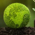 Making Positive Impact with Your Investments