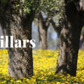 The Three Pillars of Sustainable Finance