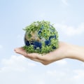 Making the Right Choice: A Guide to Sustainable Investing Strategies