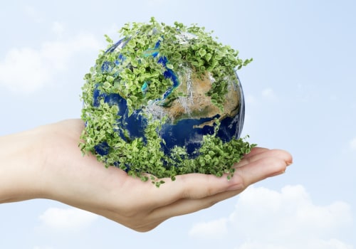 Why Sustainable Investment is Essential for the Future