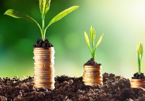 The Benefits of Sustainable Investment for Investors