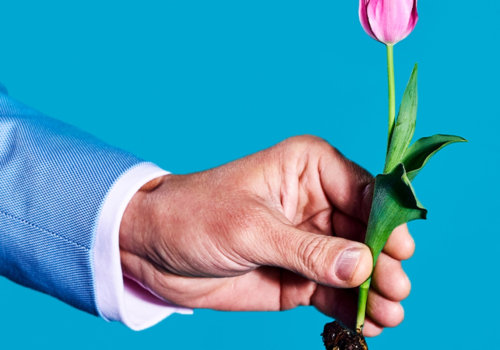 Is Your Company Truly Committed to Sustainability?