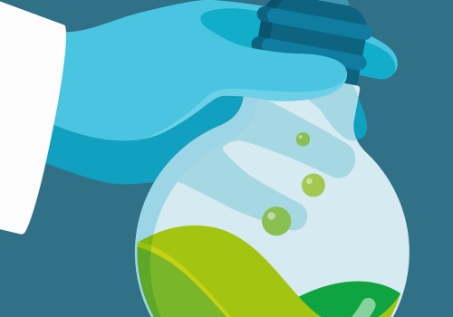 Sustainable Investing: Evaluating Companies for ESG Factors