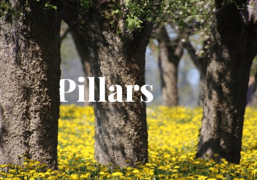 The Three Pillars of Sustainable Finance